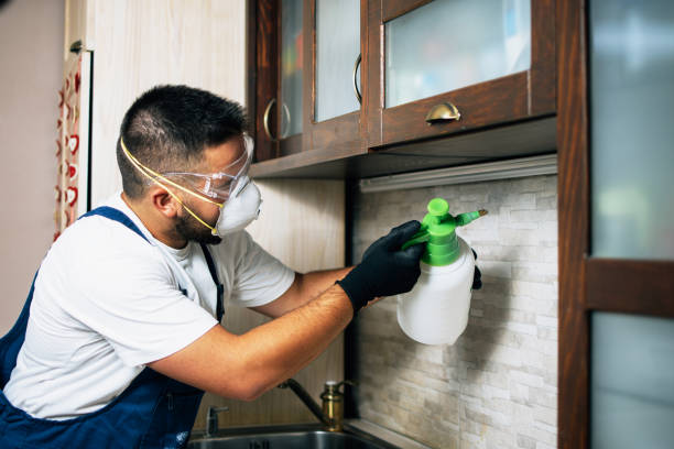 Best Wildlife Control Services  in Warrior, AL