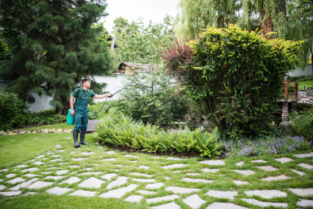 Best Best Pest Control Companies  in Warrior, AL