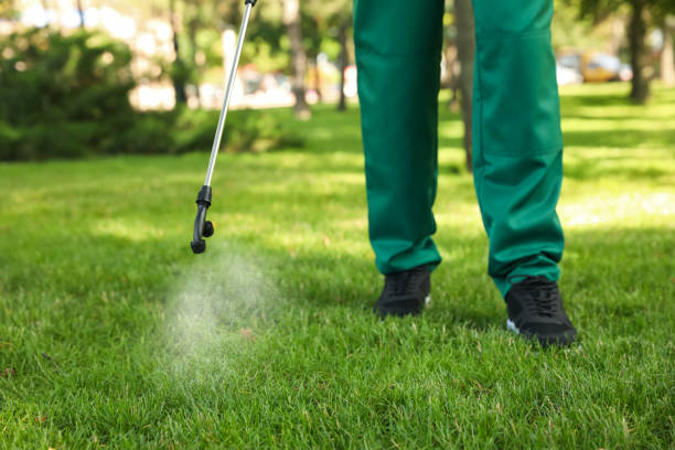 Best Commercial Pest Control Services  in Warrior, AL