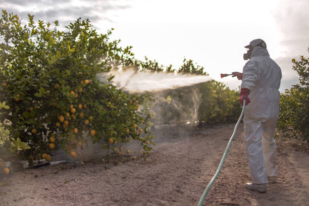 Wasp Removal Services in Warrior, AL