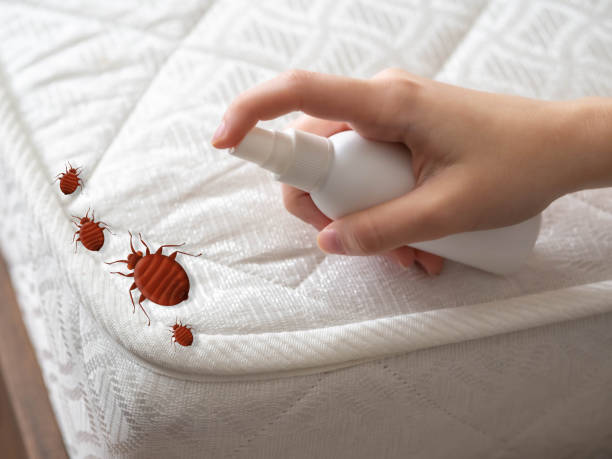 Best Pest Prevention Services  in Warrior, AL