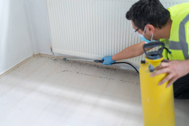 Best Exterminator Services  in Warrior, AL