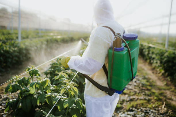 Best Local Pest Control Services  in Warrior, AL